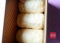 浓香椰油椰蓉土司的做法图解10