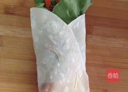 鸡肉卷饼的做法图解19