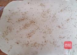 酱香饼(不辣版)的做法图解11