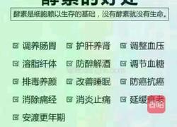 火龙果新酿酵素的做法图解1
