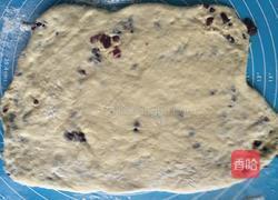 蔓越莓小面包的做法图解16