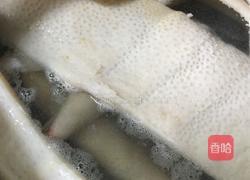 水晶肉皮冻的做法图解4