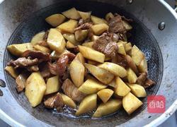 土豆烧肉的做法图解10