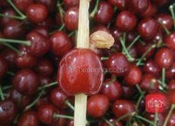 樱桃罐头的做法图解2