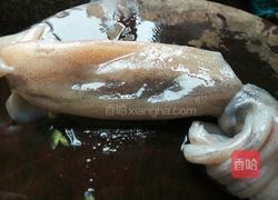 青椒炒鱿鱼的做法图解2