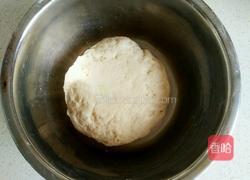 胡萝卜木耳瘦肉饺子的做法图解12