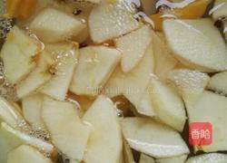 芒果萍果酵素的做法图解3