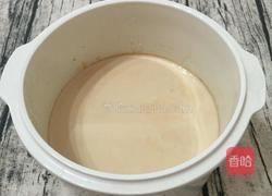 红枣牛奶炖花胶的做法图解11