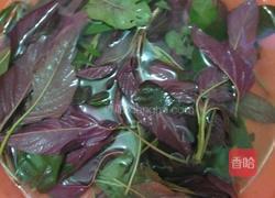 苋菜拌粉条的做法图解2