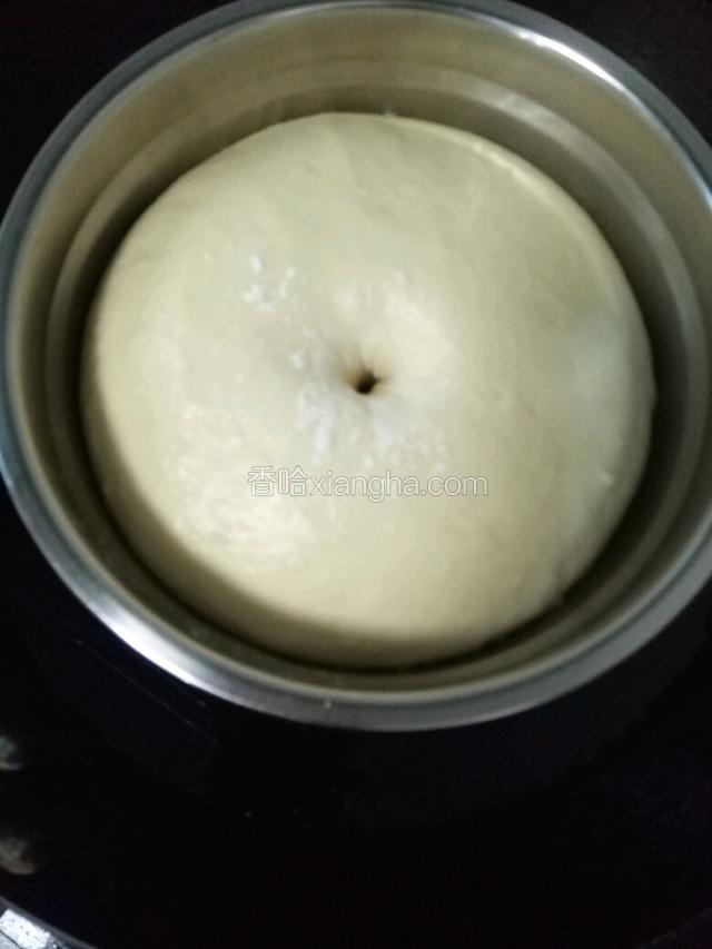 发好的状态……用手指粘高粉搓一下洞口不回缩或者回缩一点点，不塌陷就完美了。