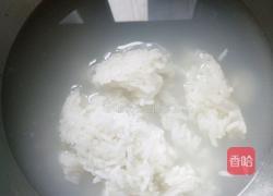 小枸杞粥的做法图解3