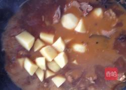 土豆粉皮焖鸡的做法图解9