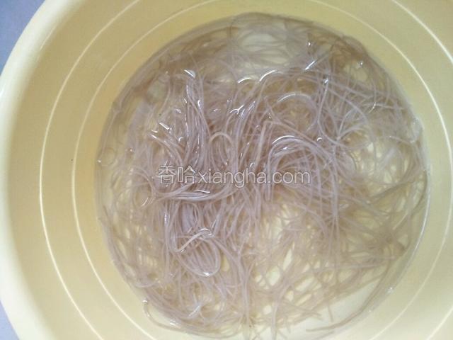 粉丝提前泡软