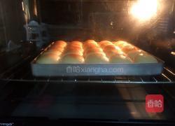 奶香小面包的做法图解15