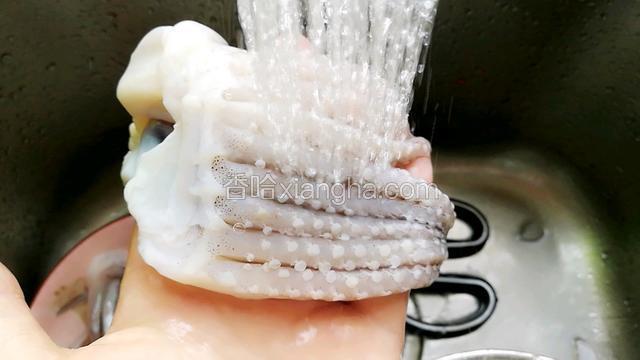 剪掉脆骨和须上的吸盘，流动水冲洗干净。