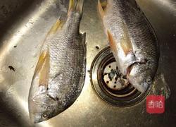 煎焗黄脚腊的做法图解1