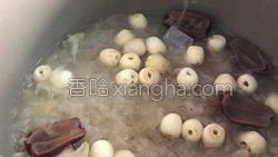 红枣银耳莲子汤的做法图解11