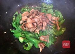 豆豉辣椒炒肉的做法图解7
