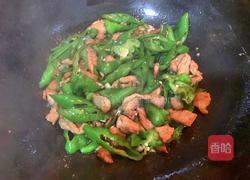 豆豉辣椒炒肉的做法图解8