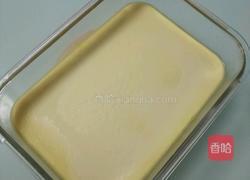 茄汁豆腐(自制豆腐)的做法图解7