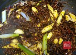 油焖麻辣小龙虾的做法图解11