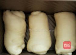 奶香土司面包的做法图解4