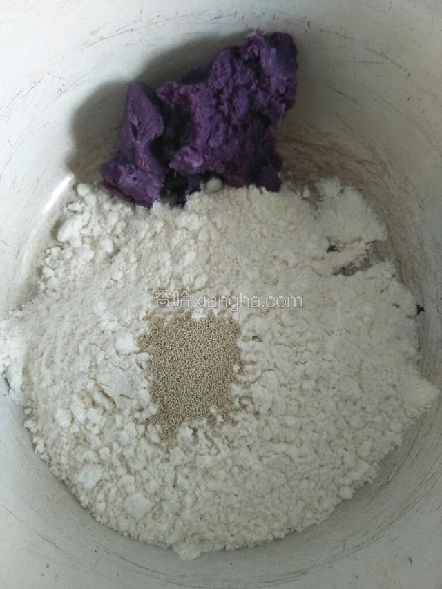 面粉中加紫薯泥，酵母
