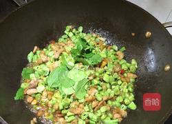 家常泰式打抛猪肉的做法图解8