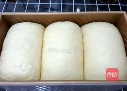 南洋椰风吐司的做法图解12
