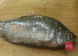 鲫鱼汤的做法图解3