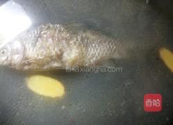 鲫鱼汤的做法图解8