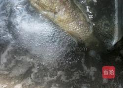 鲫鱼汤的做法图解7