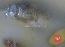 鲫鱼汤的做法图解9