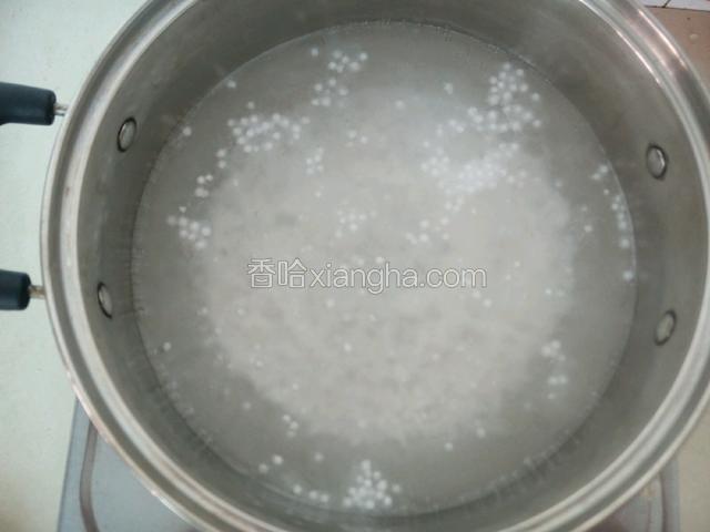 锅中加水烧开倒入西米转小火，盖上锅盖再煮20一25分钟，然后关火焖5分钟。