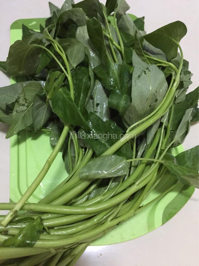 准备空心菜洗净