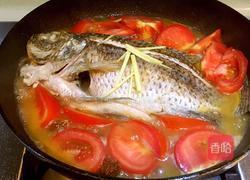 番茄水煮鱼的做法图解5