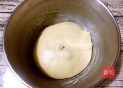 香葱肉松面包卷的做法图解6