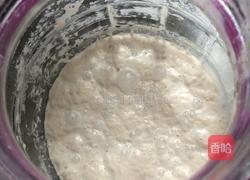 苹果酵母的做法图解3