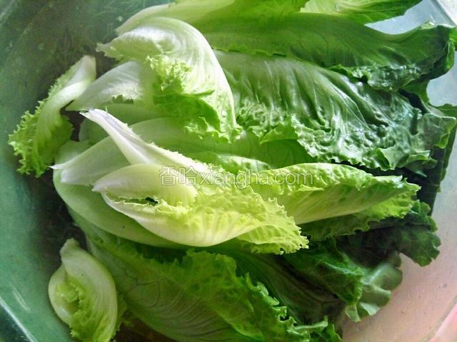 生菜摘片