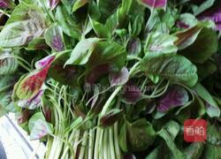 蒜泥炒红苋菜的做法图解1