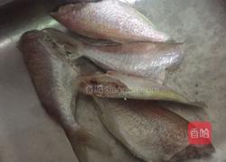 煎红衫鱼的做法图解1