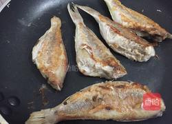 煎红衫鱼的做法图解6