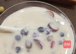 多味酸奶的做法图解6