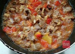 番茄炖牛腩的做法图解9