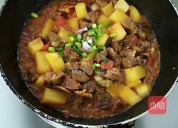 番茄炖牛腩的做法图解14