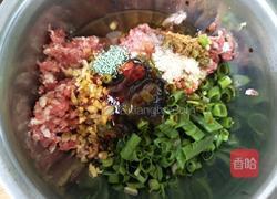 黄瓜饺子的做法图解2