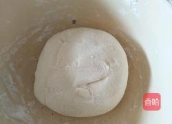 黄瓜饺子的做法图解5