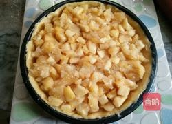 向日葵苹果派的做法图解6