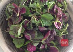 炒红苋菜的做法图解1