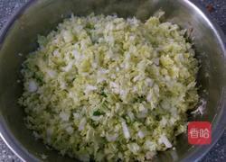 鲜香饺子馅的做法图解4